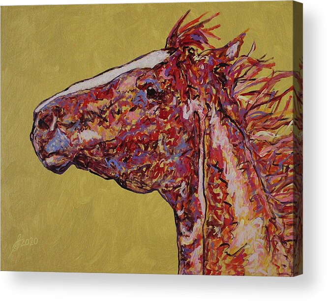 Horse Acrylic Print featuring the painting Unbroken original painting by Sol Luckman