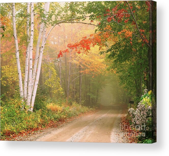 Vermont Acrylic Print featuring the photograph Underhill, Vermont. by George Robinson