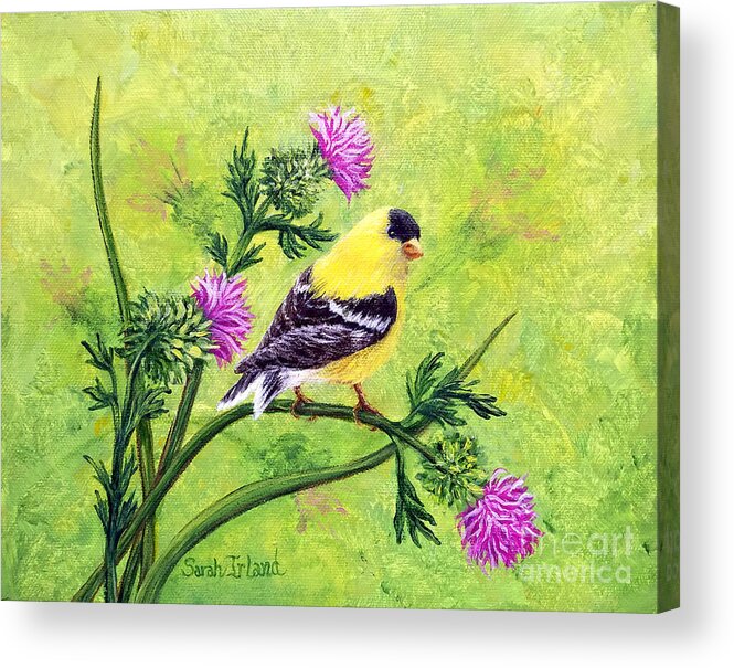 Waiting Acrylic Print featuring the painting Waiting for the Seed by Sarah Irland