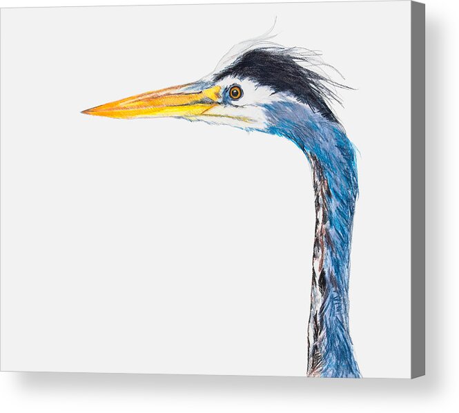 Heron Acrylic Print featuring the pastel Walk Like An Egyptian by Jani Freimann