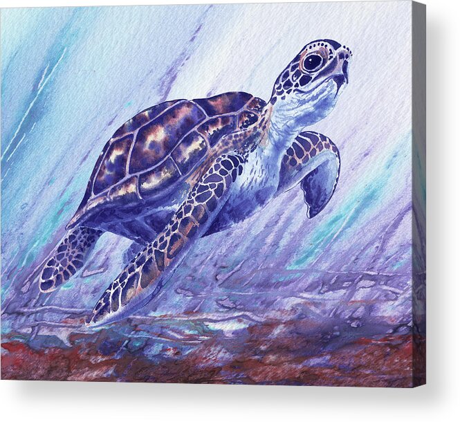 Blue Acrylic Print featuring the painting Watercolor Giant Sea Turtle In Purple Ocean by Irina Sztukowski