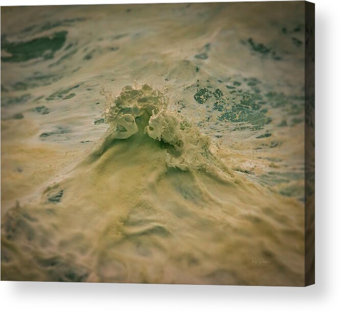 H2o Acrylic Print featuring the photograph Wave Pose by Bill Posner