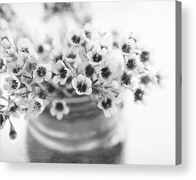 Flowers Acrylic Print featuring the photograph Wax Flowers by Lupen Grainne