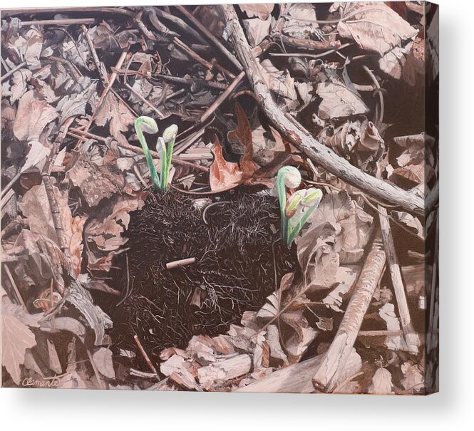 Fiddlehead Ferns Acrylic Print featuring the painting My heart is in the forest by Barbara Barber
