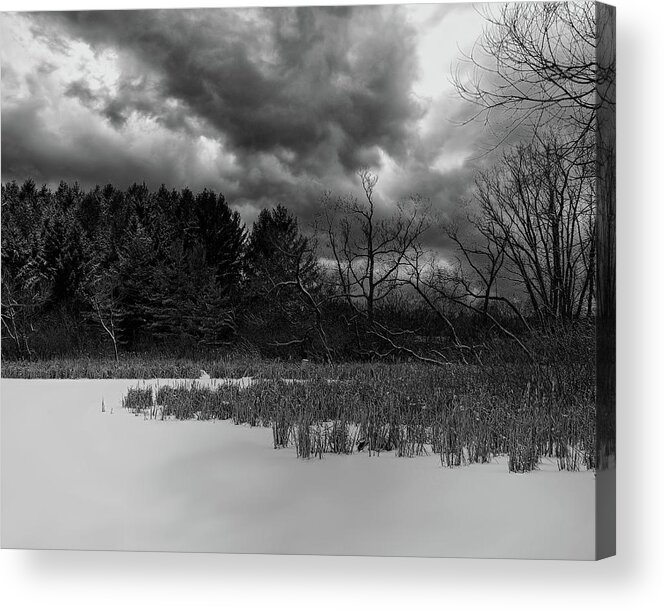Winter Acrylic Print featuring the photograph Winter Scenes III BW by Scott Olsen