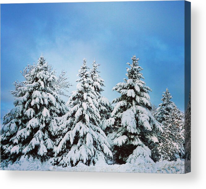 Winter Acrylic Print featuring the photograph Winter Wonderland by Sarah Lilja