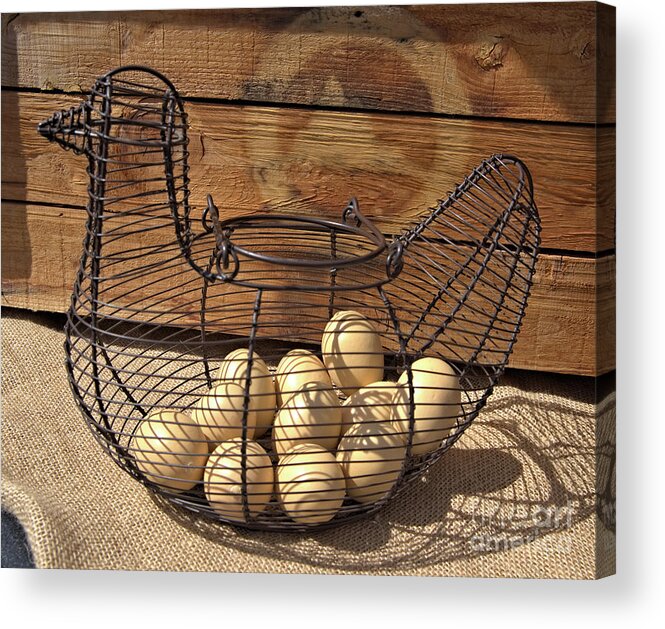 Wire Acrylic Print featuring the photograph Wire Chicken Faux Eggs by Kae Cheatham