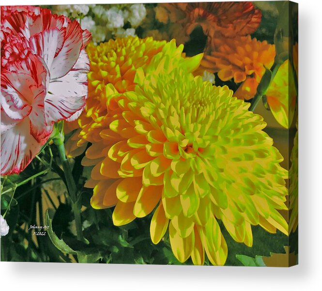Colors Acrylic Print featuring the photograph Yellows and Reds by John Anderson