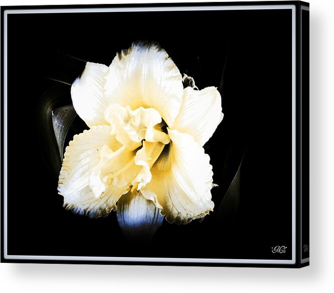 Flowers Acrylic Print featuring the photograph Daylily by Michelle Frizzell-Thompson