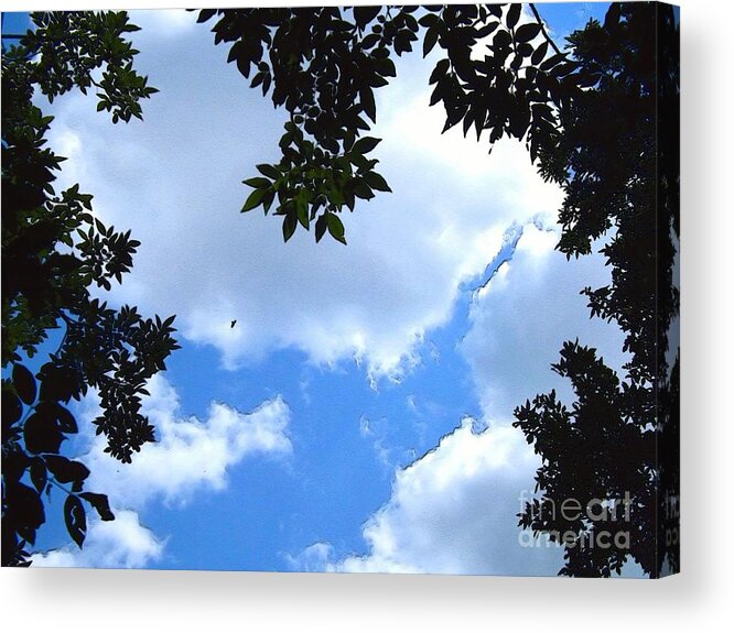 Heavens Acrylic Print featuring the photograph Heavens Above Us -Digital Art by Robyn King