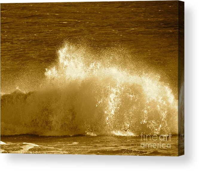 Water Acrylic Print featuring the photograph Ocean Life Remembers by Q's House of Art ArtandFinePhotography