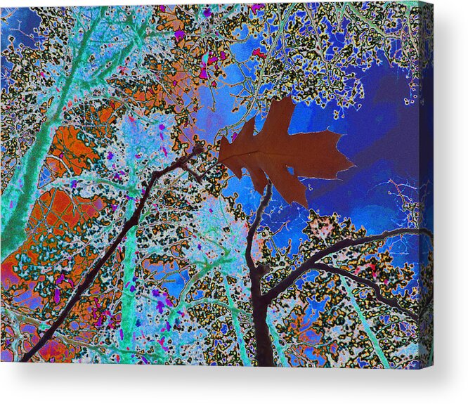 Dead Oak Leaf Before The Asencion Acrylic Print featuring the photograph before the descent BLUE by Kenneth James