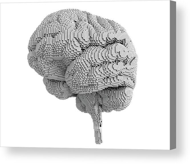 Artwork Acrylic Print featuring the photograph Brain Pixelated #1 by Alfred Pasieka/science Photo Library