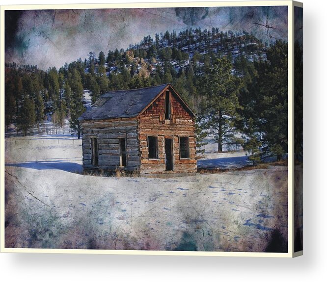 Colorado Acrylic Print featuring the photograph Colorado Log Cabin #1 by Joe Duket