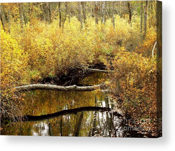 Golden Acrylic Print featuring the photograph Golden Creek #1 by Sharon Woerner