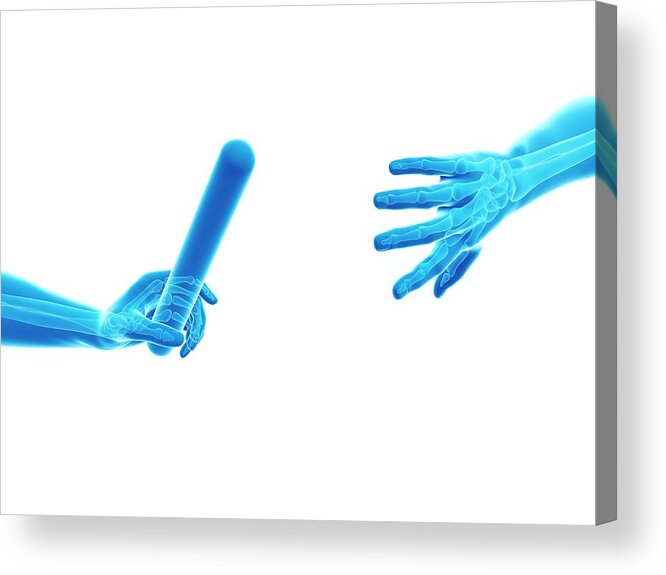 Artwork Acrylic Print featuring the photograph Hand Anatomy Of A Runner #1 by Sebastian Kaulitzki