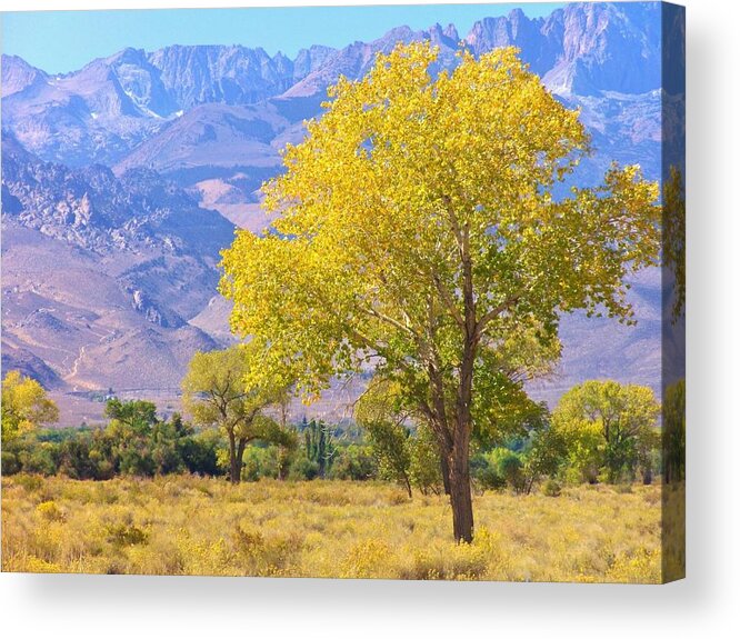 Sky Acrylic Print featuring the photograph In All Its Glory by Marilyn Diaz
