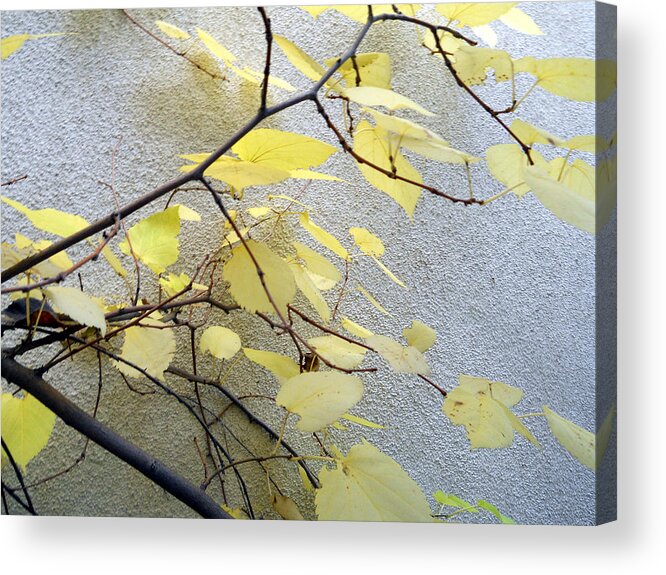 Leaf Acrylic Print featuring the photograph Leaves And Twigs #2 by Eric Forster