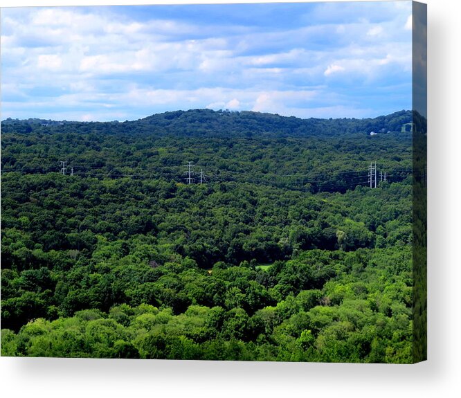 Trees Acrylic Print featuring the photograph Miles and Miles #1 by Stephen Melcher