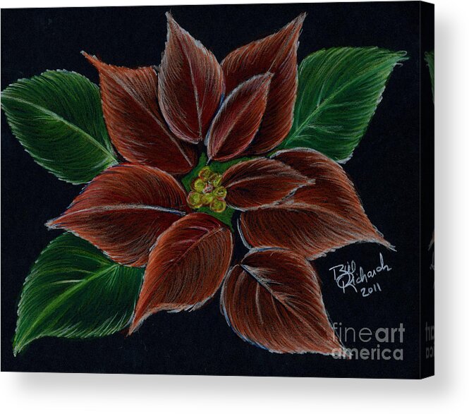 Christmas Acrylic Print featuring the drawing Poinsettias #1 by Bill Richards