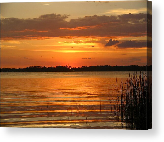 Golden Sky Acrylic Print featuring the photograph Setting Sun in Mount Dora by Denise Mazzocco