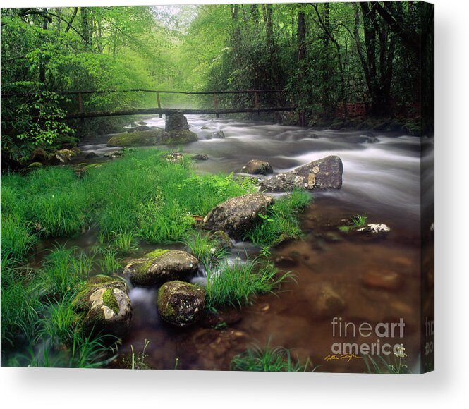 Stream Acrylic Print featuring the photograph Smoky Mountain Stream 2009 #1 by Matthew Turlington