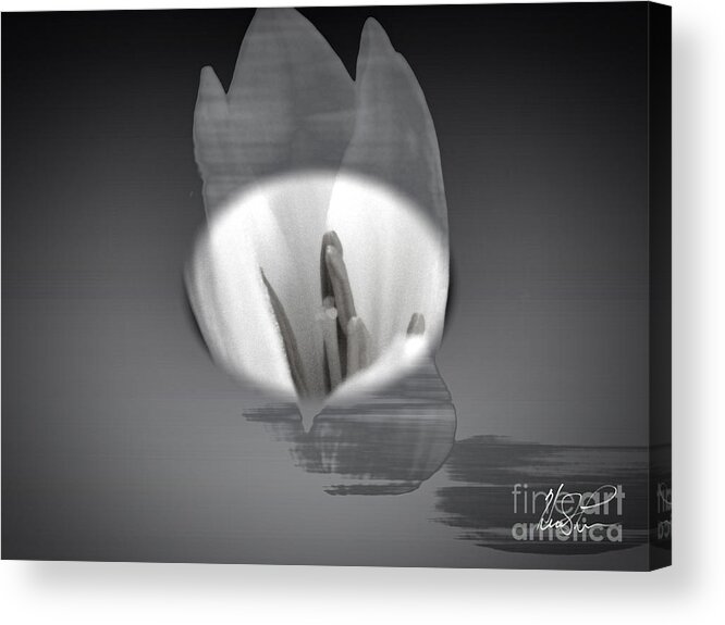 Flower Acrylic Print featuring the photograph Translucent Flower #1 by Keith Lyman