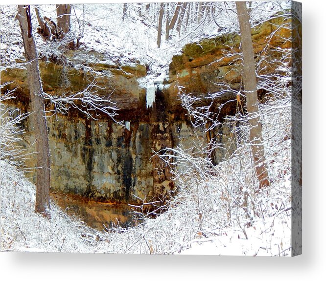 Winter Acrylic Print featuring the photograph Within #1 by Wild Thing