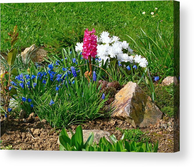 Flowers Acrylic Print featuring the photograph 152. by Pavel Jankasek