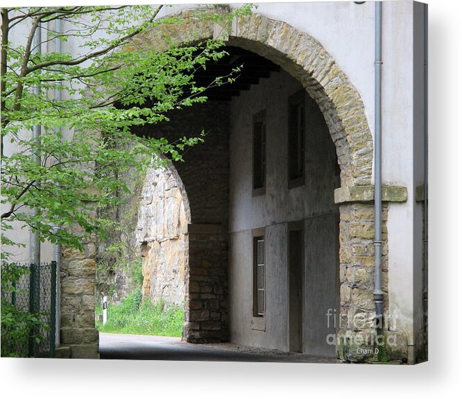 Through Acrylic Print featuring the photograph Through - Luxembourg #3 by Chani Demuijlder