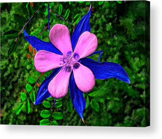 Flower Acrylic Print featuring the painting Beautiful Columbine #3 by Bruce Nutting