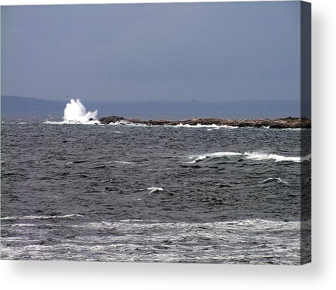 Atlantic Ocean Acrylic Print featuring the photograph Atlantic Boomer #2 by George Cousins