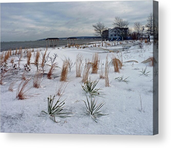 Beach Grass Acrylic Print featuring the photograph Blowing in the wind by Janice Drew