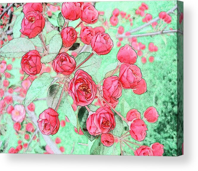 Pink Acrylic Print featuring the painting Pink Roses #4 by Xueyin Chen