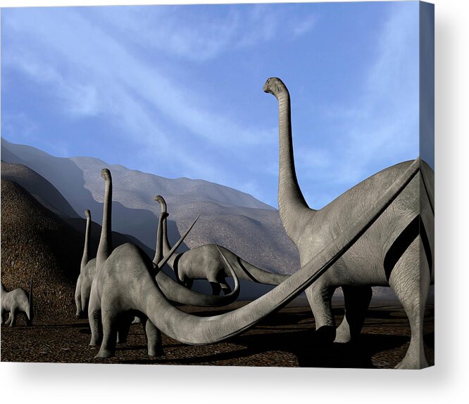 Sauropod Acrylic Print featuring the photograph Sauropod Dinosaurs #2 by Christian Darkin