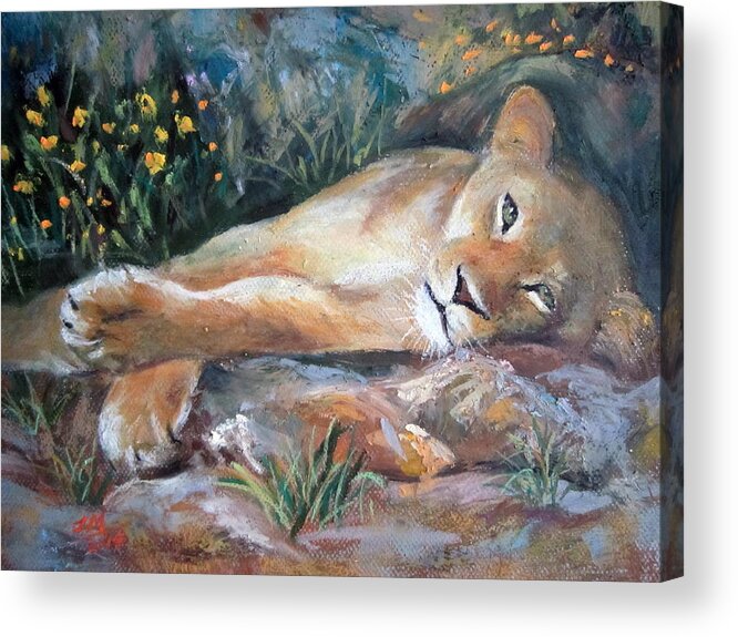 Sleep Lion Acrylic Print featuring the painting Sleep Lion by Jieming Wang