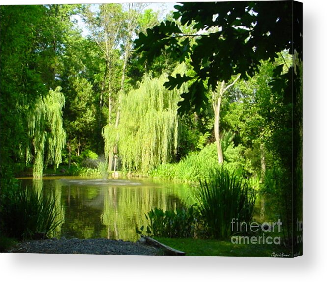 Landscape Acrylic Print featuring the photograph Weeping Willow Pond by Lyric Lucas