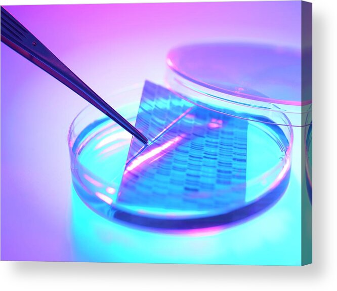 Autoradiogram Acrylic Print featuring the photograph Dna Research #20 by Tek Image