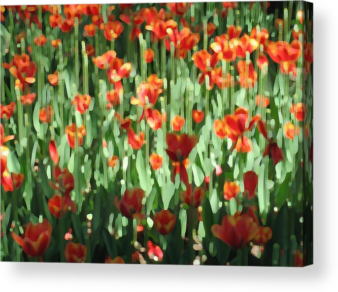 Digital Art Acrylic Print featuring the photograph Tulips #4 by Yue Wang