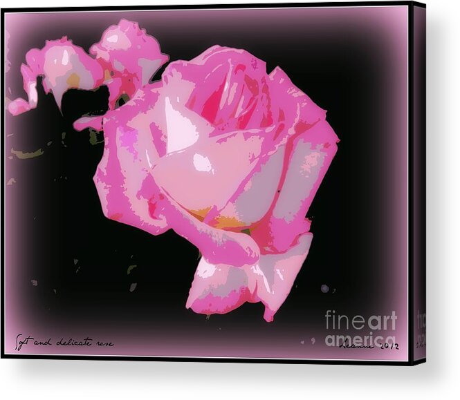 Rose Acrylic Print featuring the photograph Pink Rose #1 by Leanne Seymour