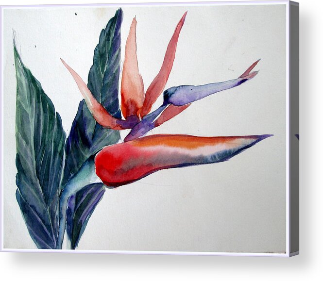 Bird Of Paradise Acrylic Print featuring the painting Her Bird of Paradise by Mindy Newman