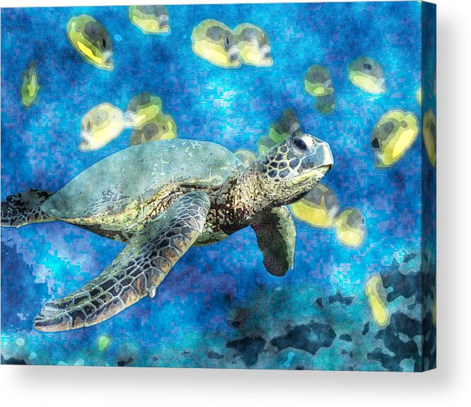Green Turtle Acrylic Print featuring the painting Green Turtle by MotionAge Designs