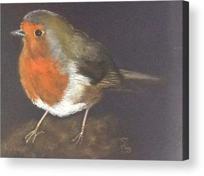 Robin Acrylic Print featuring the painting A Garden Friend by Carole Robins