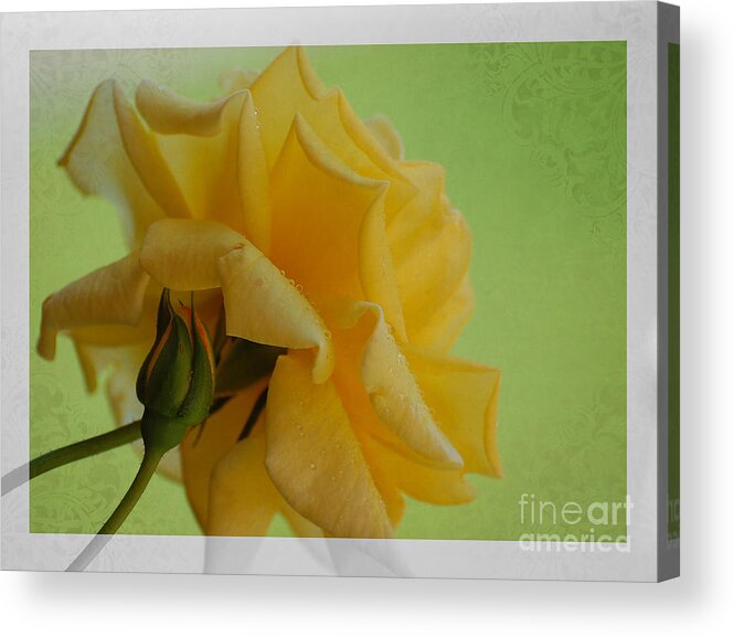 Flowers Acrylic Print featuring the photograph A Little Bit of Sunshine by Bianca Nadeau