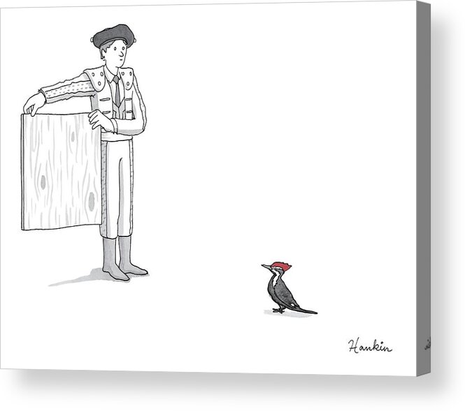 Captionless Acrylic Print featuring the drawing A Matador Provokes A Red-headed Woodpecker by Charlie Hankin