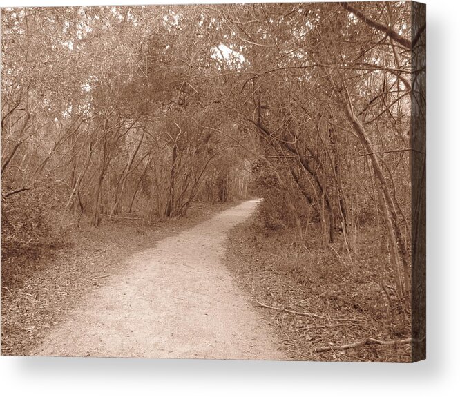 Landscape Acrylic Print featuring the photograph A path in life by Beth Vincent