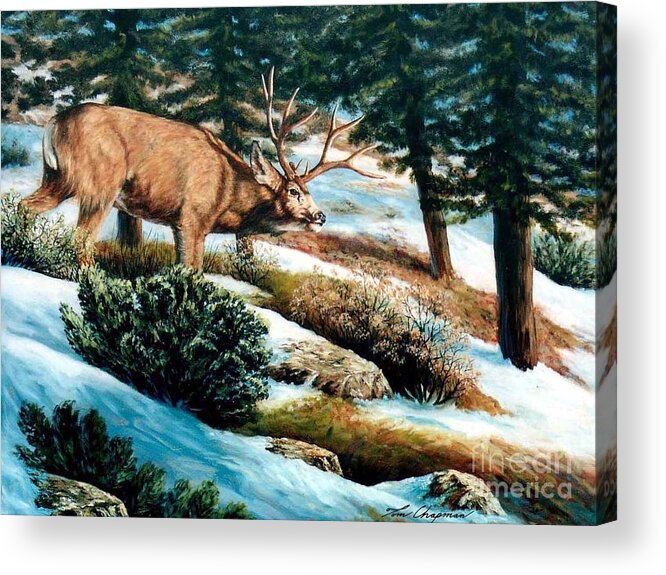 Mule Deer Acrylic Print featuring the painting A Sense of Danger by Tom Chapman