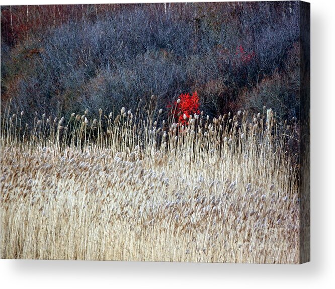 Landscape Acrylic Print featuring the photograph A Touch Of Red by Marcia Lee Jones