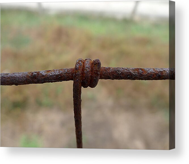 Richard Reeve Acrylic Print featuring the photograph A Twist of Wire by Richard Reeve