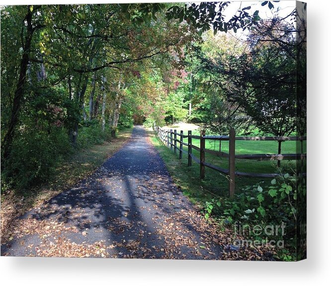 Country Acrylic Print featuring the photograph A Walk Along A Country Road by Christy Gendalia